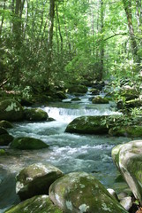 relaxing day on the river