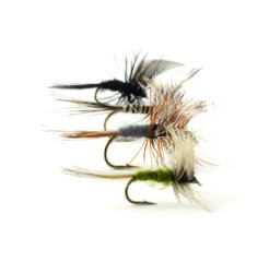 Trout fishing dry flies