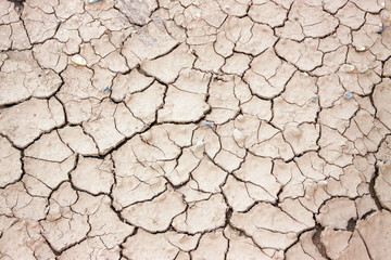 Sandboden © Michaela Müller