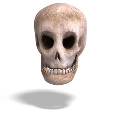 toon skull  is watching you