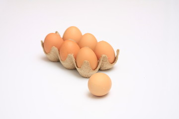 oeuf