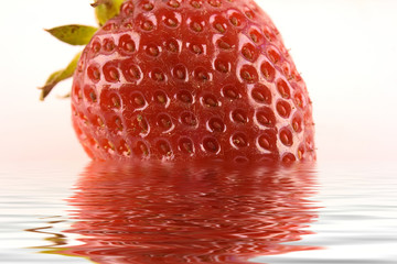 fragola