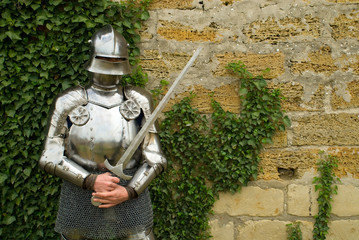 The knight