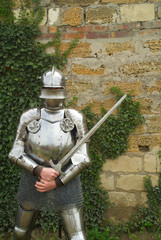 The knight