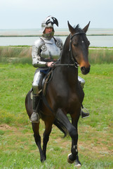 The knight