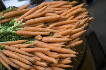 bunch of carrot