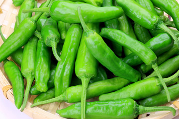 vegetables(shishitou)