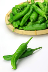 vegetables(shishitou)