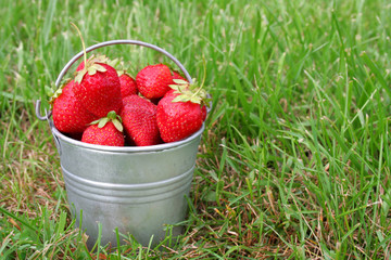 Strawberries