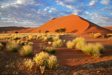 Foto op Canvas Woestijnlandschap, Sossusvlei, Namibië, zuidelijk Afrika © EcoView