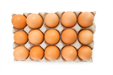 Lots of eggs in the carton isolated on white