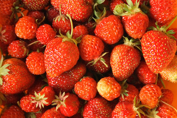 strawberries background