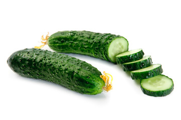 cucumber