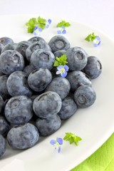 Blaubeere Heidelbeere Blueberry