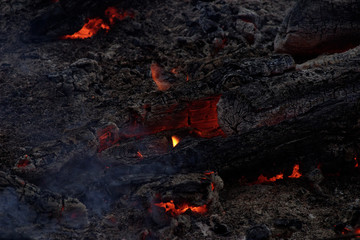 ashes and live coals dark