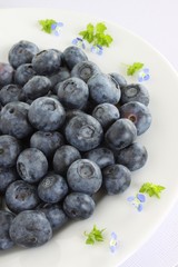 Blaubeere Heidelbeere Blueberry