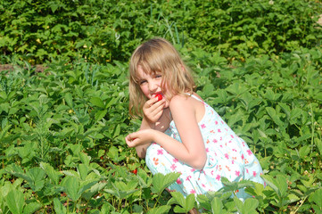 child in the strawberry field