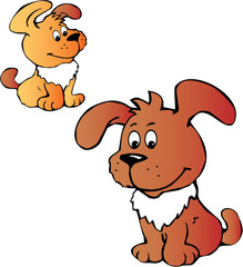Puppy of white background