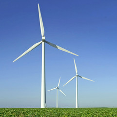 éoliennes dans un champ
