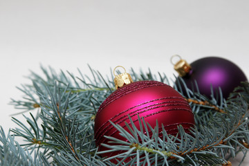 lila rosa weihnachtskugel mit tannenzweig