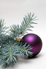 lila weihnachtskugel mit tannenzweig