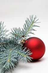 rote weihnachtskugel mit tannenzweig