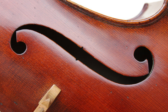 F-Loch Cello