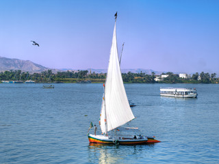 Images from Nile: Feluka sailing