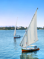 Obraz premium Images from Nile: Felukas sailing