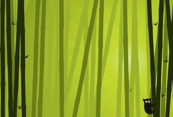 Bamboo Background. Nature Background Series.
