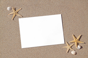 Drei Seesterne am Strand mit weißer Karte