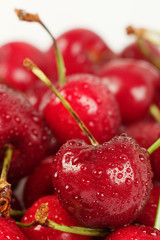 Close-up of a bunch of cherry splashed with water