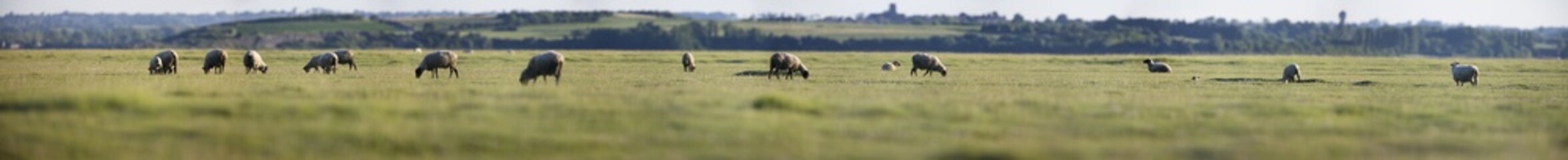 baie du mont-saint-michel