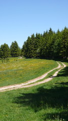 Wandern im Schwarzwald