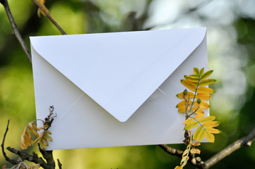 Brief an dem Zweig, Post Zustellung