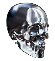 Silver Skull - 14481585