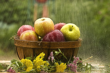 Raining on Apples