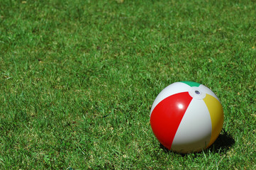 Сolour ball on herb