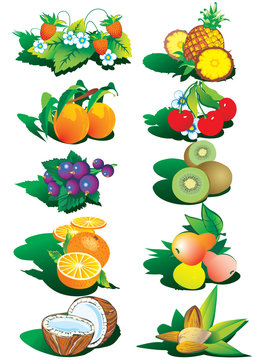 Various nice fruits and nuts