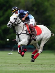 PoloCup09