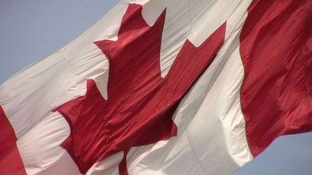 footage of large real Canadian flag blowing in the wind