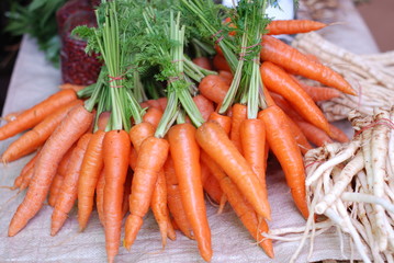 Carrot vegetable
