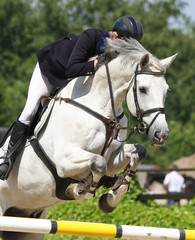 Reitsport- Springen