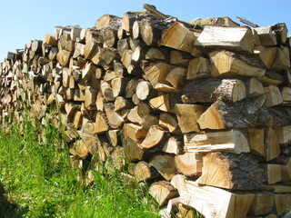 Holzsscheite