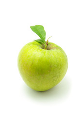 apple