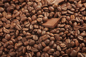 brown beans