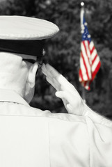 Military officer saluting flag - 14492348