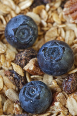 blueberries in bowl
