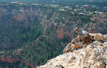 Grand Canyon National Park, USA..