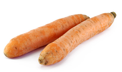 carrot